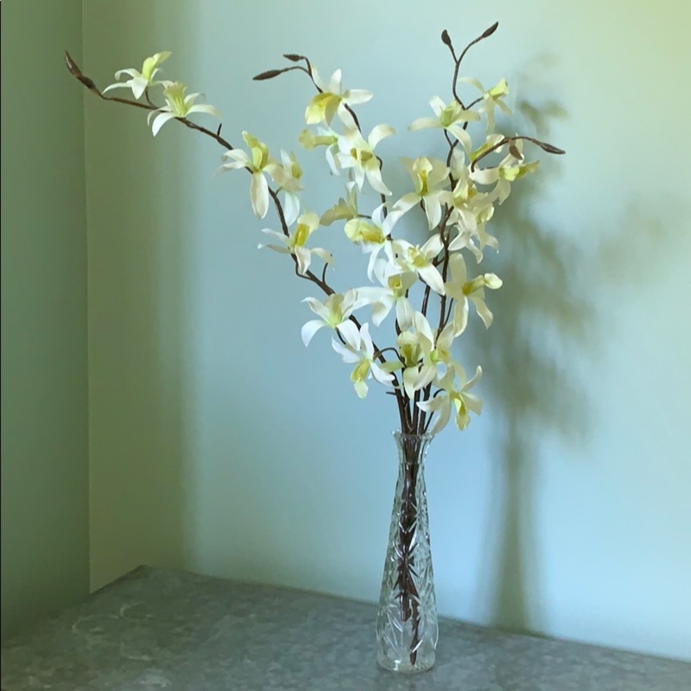White and green orchids in glass crystal star vase
